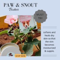 Paw and snout butter(All inc)