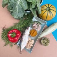 Something's Fishy Meal Weekly {7 Packs} of 500g/250g (All Inc)